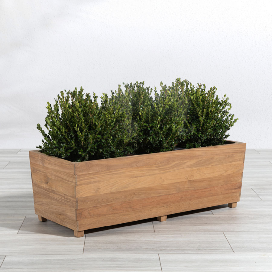 Studio Rectangular Planter Box - Country Casual Teak