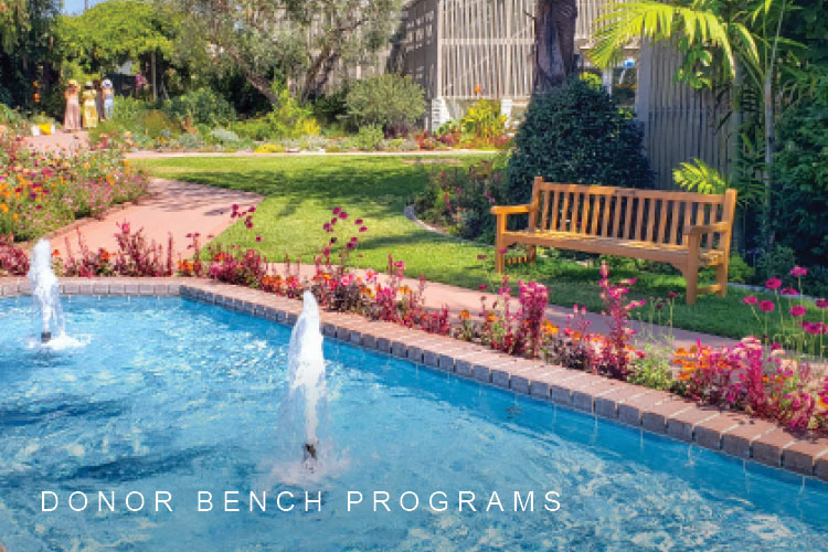 Donor Bench Programs